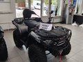 2026 Loncin XWolf 300 Max, серый, 485000 рублей - вид 6