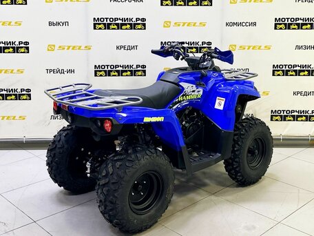 2025 Bison ATV200, синий, 218990 рублей, вид 4