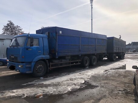 2008 КамАЗ 65117, синий, 3599999 рублей, вид 1