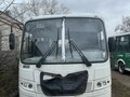 2017 ПАЗ 3204, белый, 600000 рублей