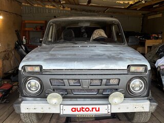 2006 Lada (ВАЗ) 2131 (4x4) I, серебристый, 255000 рублей, вид 1