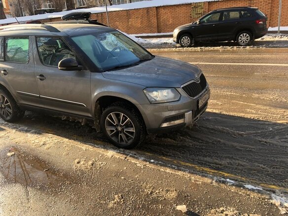 2017 Skoda Yeti I Рестайлинг, серый - вид 10