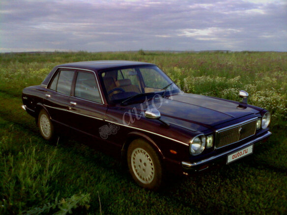 1979 Toyota Cressida I (X30, X40), коричневый - вид 3