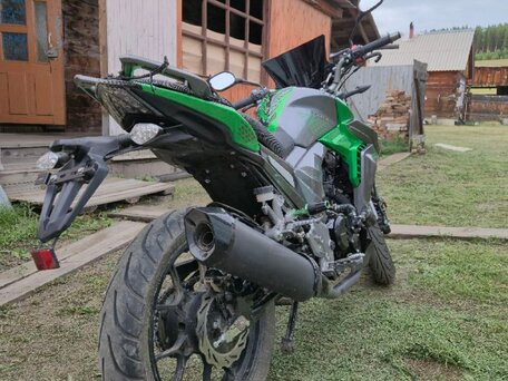 2020 Regulmoto T-Leopard 300, зелёный, 210000 рублей, вид 5