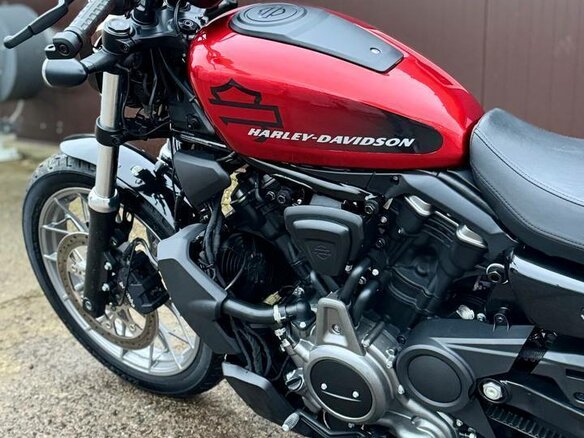 2023 Harley-Davidson Nightster, пурпурный, 1070000 рублей - вид 6