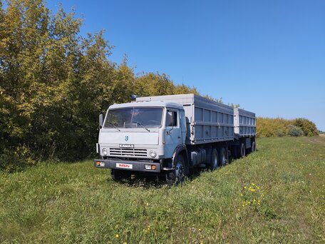 1999 КамАЗ 45144, серый, 1500000 рублей, вид 1