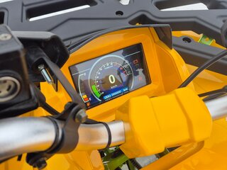 2024 Motoland Wild Track 200, золотистый, 215000 рублей, вид 2