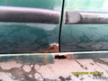 1997 Nissan Almera I (N15), зелёный - вид 9