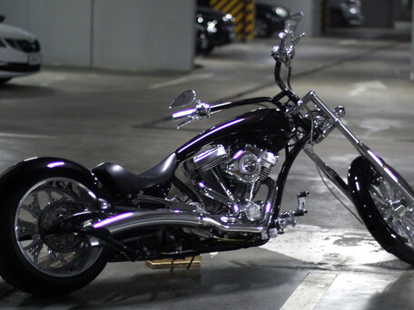 2008 Big Bear Choppers Sled, красный, 1555555 рублей, вид 2