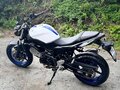 2016 Suzuki SV 650, белый, 500000 рублей - вид 9