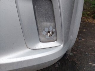 2007 Ford C-MAX I Рестайлинг, серебристый, 510000 рублей, вид 4