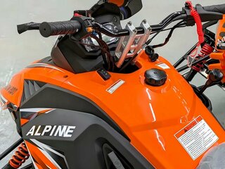 2025 Motoland Alpine 200, оранжевый, 245000 рублей, вид 5