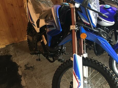 2022 Motoland Enduro 250, синий, 170000 рублей, вид 2