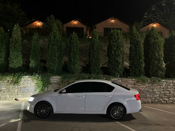 2016 Skoda Octavia III (A7), белый, 850000 рублей - вид 6