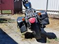 2004 Harley-Davidson Sportster 1200, золотистый - вид 1