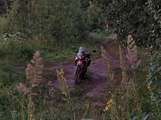 2022 Motoland Dakar ST, красный, 165000 рублей, вид 2