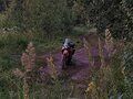 2022 Motoland Dakar ST, красный, 165000 рублей - вид 1