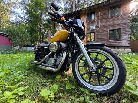 2013 Harley-Davidson Sportster 883, жёлтый, 580000 рублей, вид 5
