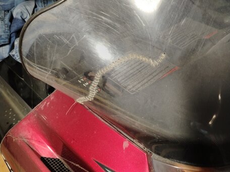 2005 Polaris Widetrak LX, красный, 540000 рублей, вид 4