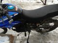 2020 Motoland Enduro 250, синий, 125000 рублей - вид 9