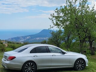 2019 Mercedes-Benz E-Класс 450 V (W213, S213, C238), серый, 4188888 рублей, вид 4
