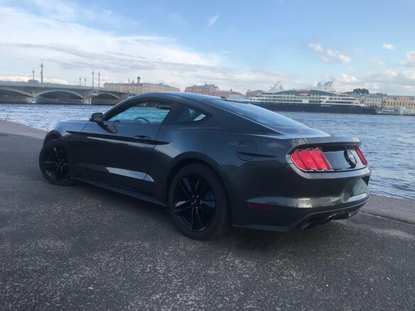 2015 Ford Mustang VI, серый - вид 5