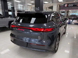 2025 BYD Tang L, серый, 5600000 рублей, вид 4