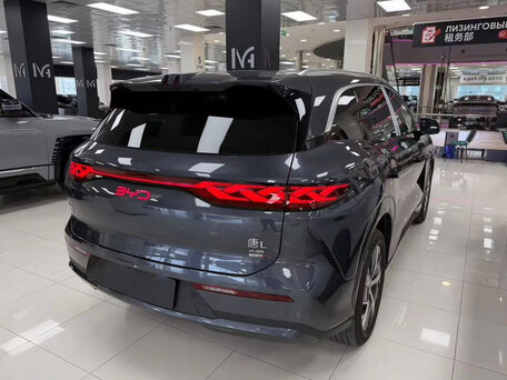 2025 BYD Tang L, серый, 5100000 рублей, вид 4