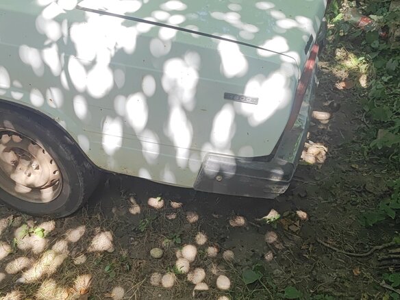 2004 Lada (ВАЗ) 2107, белый, 55000 рублей - вид 6