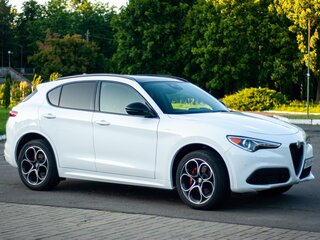 2022 Alfa Romeo Stelvio I Рестайлинг, белый, 2450000 рублей, вид 4
