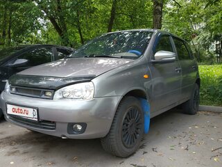 2009 Lada (ВАЗ) Kalina I, серый, 250000 рублей, вид 1