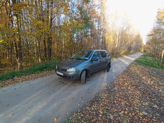2010 Lada (ВАЗ) Kalina I, серый, 105000 рублей, вид 4