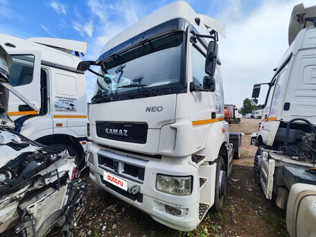 2018 КамАЗ 5490 NEO, белый, 1039500 рублей, вид 1