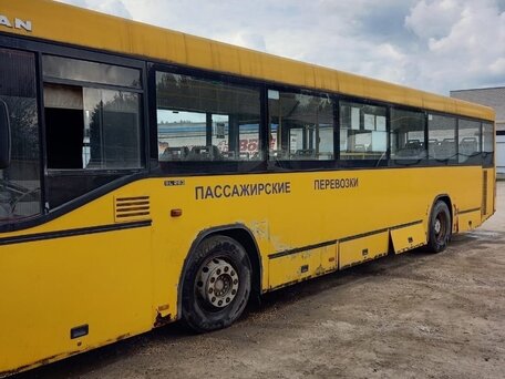 2000 MAN SL, золотистый, 600000 рублей, вид 3
