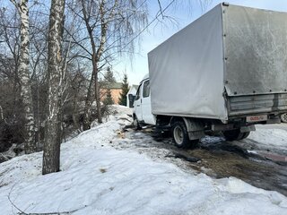 2014 ГАЗ ГАЗель (33023/330273) Фермер, белый, 950000 рублей, вид 4