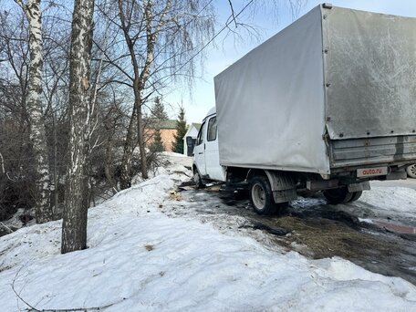 2014 ГАЗ ГАЗель (33023/330273) Фермер, белый, 950000 рублей, вид 4