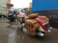 2015 Indian Chief, красный - вид 1