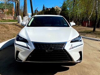 2020 Lexus NX 300 I Рестайлинг, белый, 3588203 рублей, вид 2