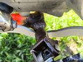 2022 Kayo Basic TT125EM, белый, 75000 рублей - вид 3