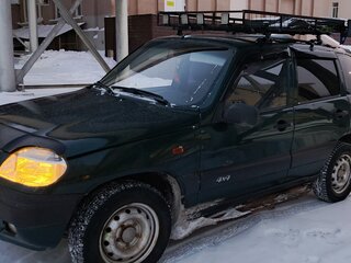 2004 Chevrolet Niva I, зелёный, 520000 рублей, вид 2