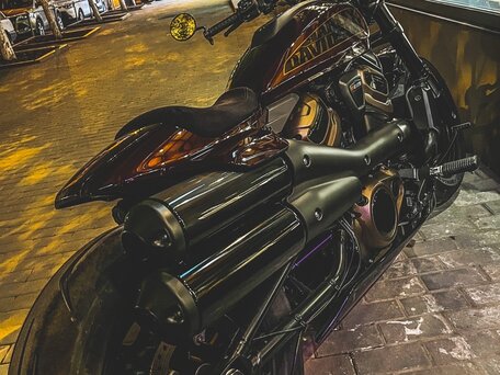 2021 Harley-Davidson Sportster S, красный, 1800000 рублей, вид 3