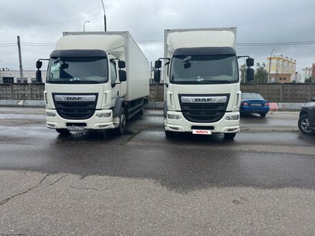 2022 DAF LF (2013-н.в), белый, 11950000 рублей, вид 1