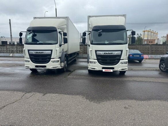 2022 DAF LF (2013-н.в), белый