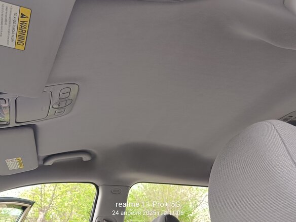 2009 Kia Carnival Grand II, золотистый, 1200000 рублей - вид 14