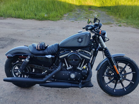 2021 Harley-Davidson Sportster 883, серый, 785840 рублей, вид 1