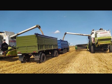 1989 КамАЗ 43118, зелёный, 1650000 рублей, вид 2