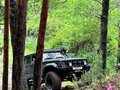 1997 Jeep Cherokee II (XJ) Рестайлинг, зелёный - вид 11