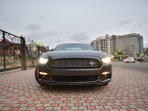 2015 Ford Mustang VI, серый - вид 6