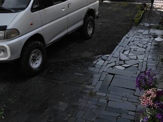 1995 Mitsubishi Delica IV, серый, 950000 рублей, вид 1