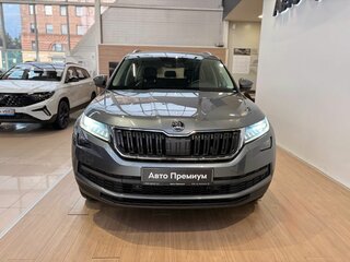 2019 Skoda Kodiaq I, серый, 2649000 рублей, вид 2